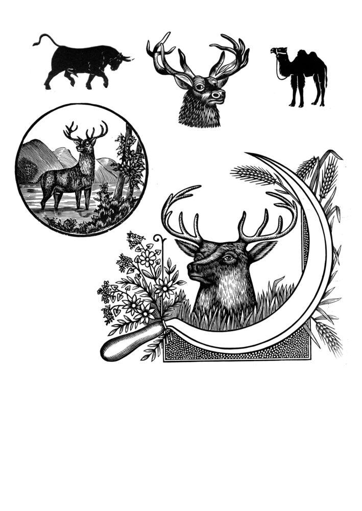 ambulatory animal wood cut images from the collection