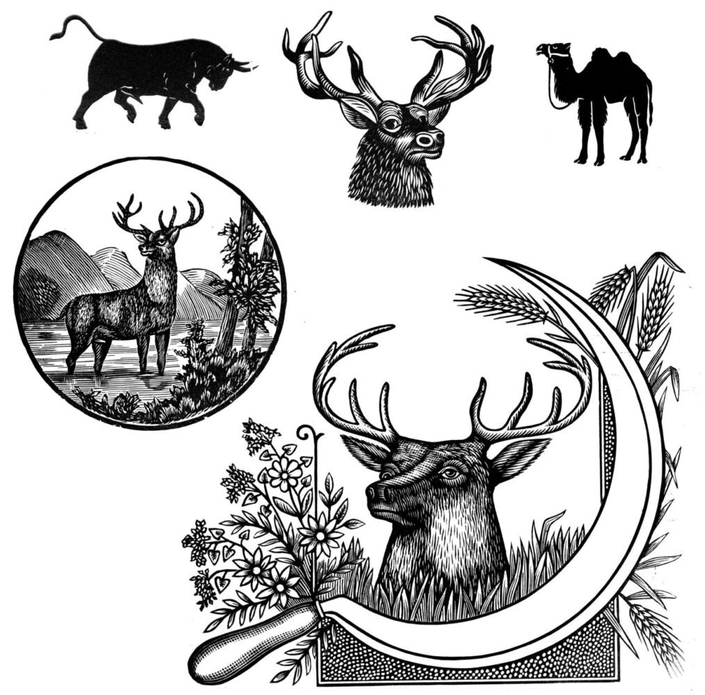 ambulatory animal wood cut images from the collection