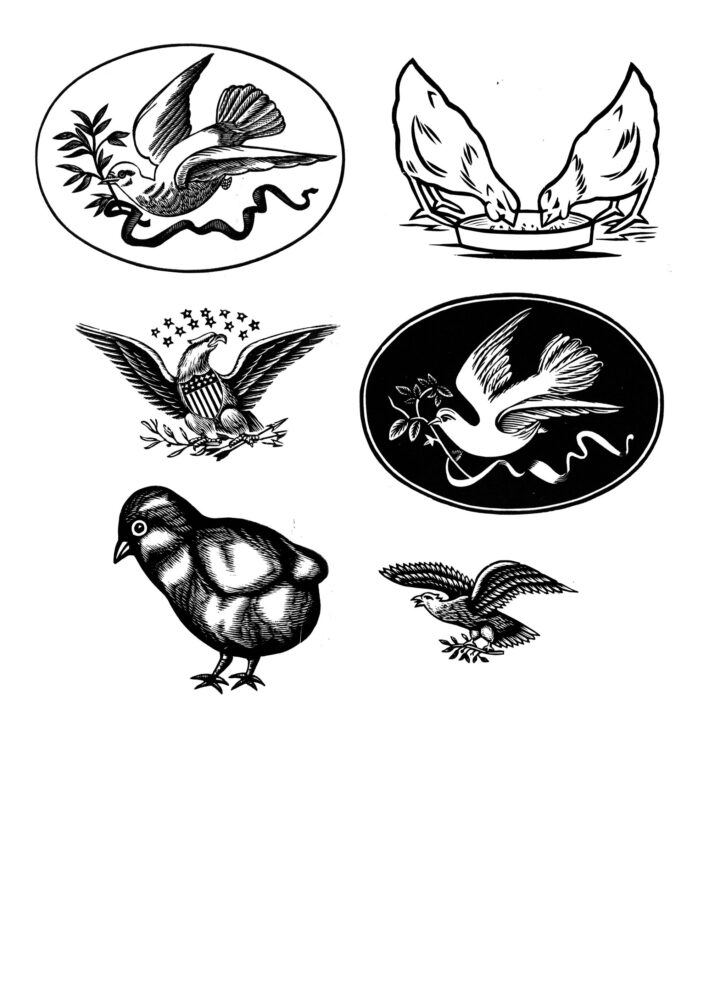 volant animal wood cut images from the collection