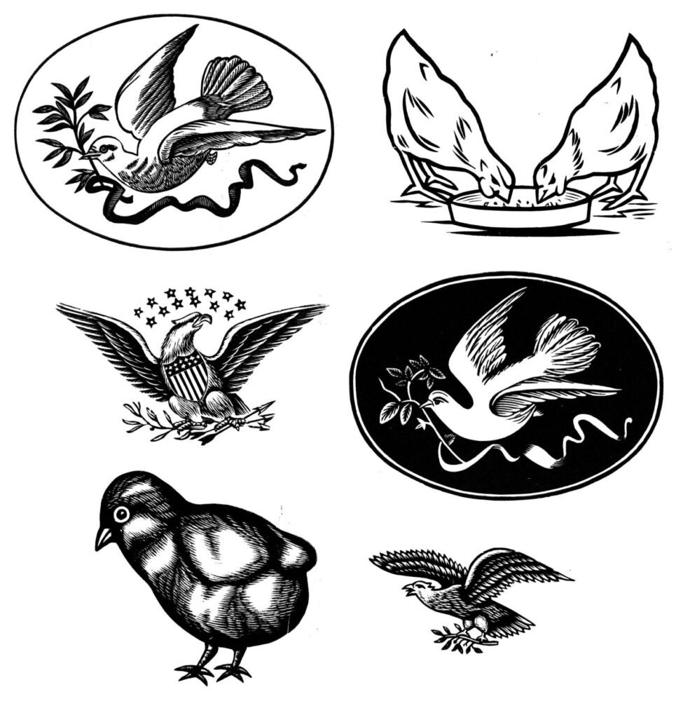 volant animal wood cut images from the collection