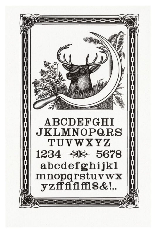 letterpress print wood type specimen from the Rob Roy Kelly American Wood Type Collection Folio Revisited, lowercase and uppercase letters, framed by borders, printed in a single layer using black ink