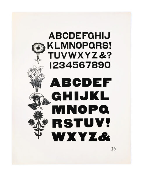 A page from American Wood Types, 1828-1900, Volume I, featuring Antique type, a large decorative border on top, and a wood engraving of a chick, printed in black on white paper