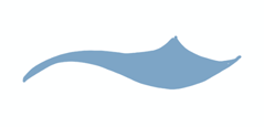 blue decorative swash